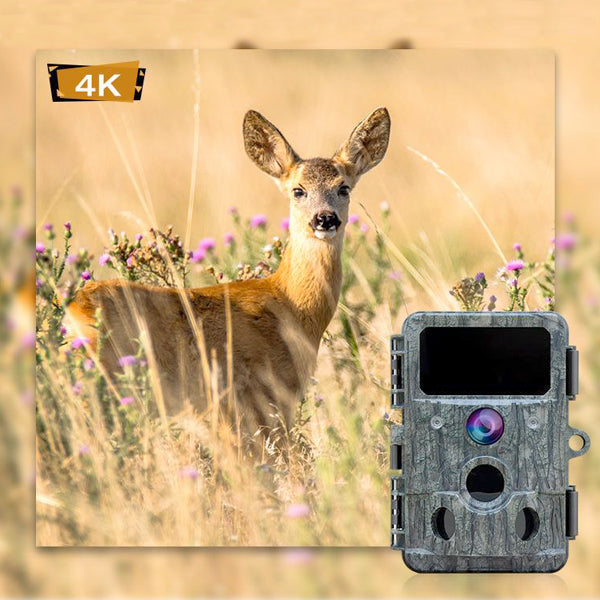 WIFI-BLUETOOTH ФОТО КАПАН RD3049pro 4К ULTRA HD 48MP С ЧЕРВЕНА СВЕТЛИНА 820N /LK050/M