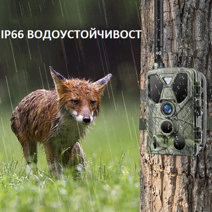 4К ЛОВНА КАМЕРА SUNTEK HC-812PRO С ВГРАДЕНА БАТЕРИЯ 4G С LIVE VIDEO & APP НАЖИВО