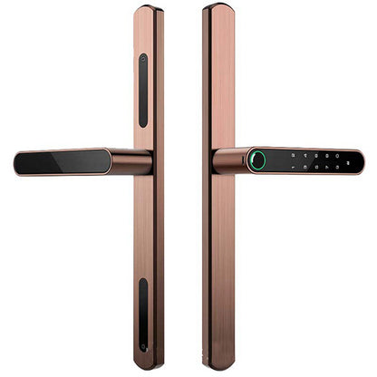 Смарт електронна брава – 5-в-1 интелигентен контрол на достъпа /SB001/